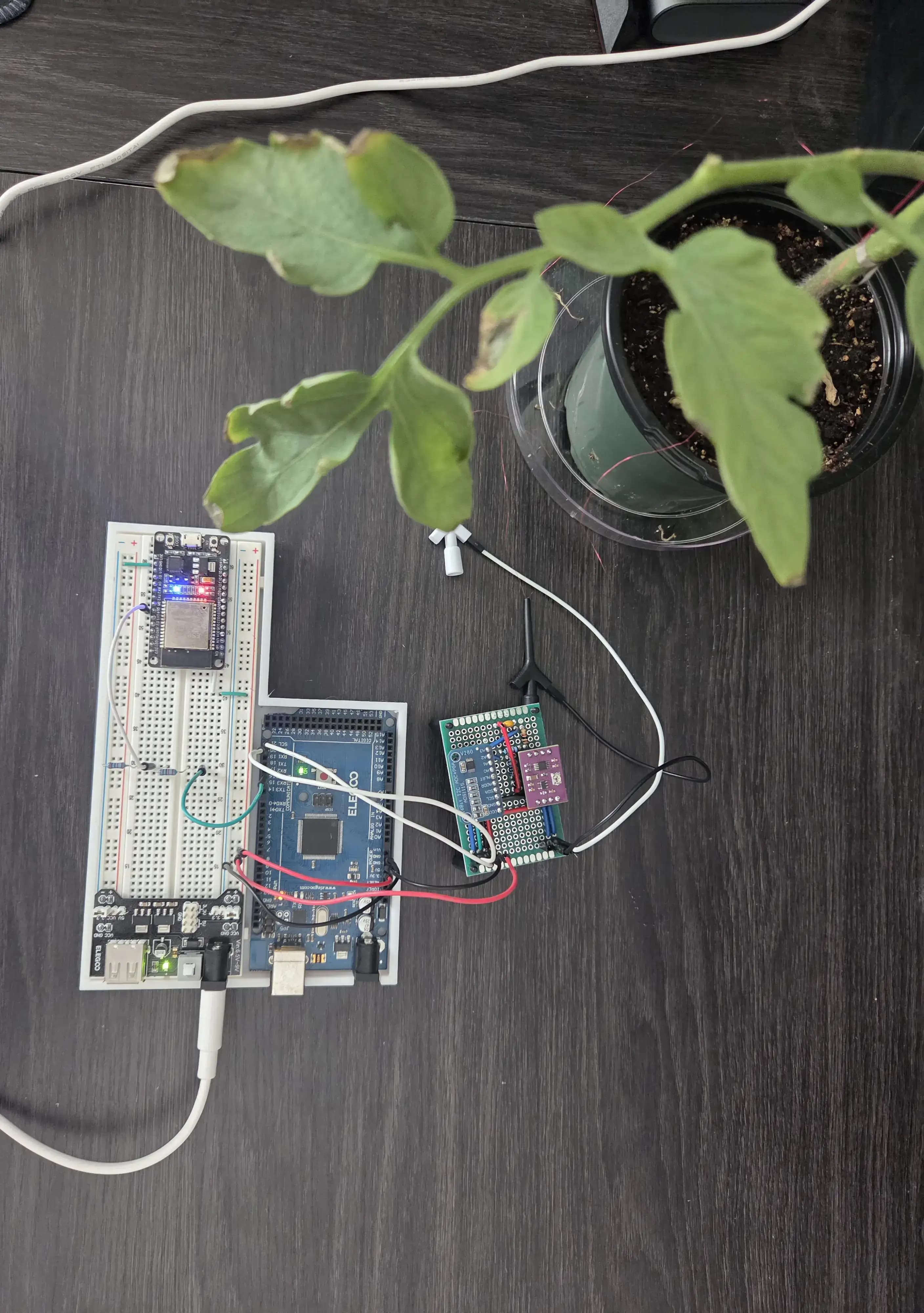 Electronics - No Plant Sensor Test Picture of electronics with breadboard, Arduino, ESP32, and force-sensitive resistors.